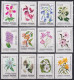 F-EX48199 ARGENTINA 1982 MNH FLORES FLOWER. - Altri & Non Classificati