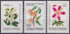 F-EX48199 ARGENTINA 1982 MNH FLORES FLOWER. - Altri & Non Classificati