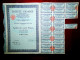 Société Gramme" Pantin (Seine) France .1964  Share Cerificate - Electricity & Gas