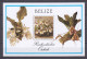 Belize 1987 Kleinbogen Set Mi 973-986 + Block 94 MNH ORCHIDS - Orchidee