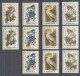 203a Haiti ** MNH Serie Oiseaux Birds Of Prey 1975 Dont Rapaces 41 Valeurs - Haïti