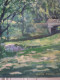 Delcampe - Fernand PROUST (XXème) Huile Sur Toile "Parc Jouvet  à  Valence " Juillet 1981 - Oils