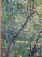 Delcampe - Fernand PROUST (XXème) Huile Sur Toile "Parc Jouvet  à  Valence " Juillet 1981 - Oelbilder