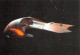 STAR TREK  Uss Voyageur  Deep Space Nine  Cinema  Series ActeursSK 82  (scan Recto-verso) OO 0999 - Séries TV
