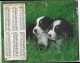 Almanach  Calendrier  P.T.T  -  La Poste -  1981 - Chiens - Autres & Non Classés
