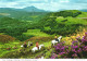 ABERFOYLE, PERTSHIRE, PONY TREKKING, HORSE, SCOTLAND, UNITED KINGDOM, POSTCARD - Perthshire