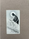 Communie - WOUTERS Simonna - 1947 - Kerk Van Den Zoeten Naam Jezus - SCHRIEK (GROOTLO) - Communion
