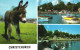 BOURNEMOUTH, CHRISTCHURCH, MULTIPLE VIEWS, DONKEY, BOATS, LAKE, SWAN, ARCHITECTURE, ENGLAND, UNITED KINGDOM, POSTCARD - Bournemouth (from 1972)