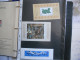 Delcampe - Vente Album Année 1984 à 1887 En L'état Avec BF 34 - Collections, Lots & Series