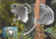 Australia  ** & Postal Stationery, Inte, Postage Pre-Paid, Koala, Phascolarctos Cinereus, 2005 (346188) - Postwaardestukken