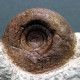 #CABRIEROCERAS CRISPIFORME Fossile, Goniatit, Devon (Marokko) - Fósiles