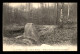 DOLMENS - BOIS DE MEUDON - MENHIRS ANCIENS DITS PIERRE AUX MOINES (HAUTS-DE-SEINE) - Dolmen & Menhire