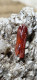 Delcampe - Realgar  Calcite Colemanite Cristallo Di Re Algar Provenienza Turchia Minerali  9,5 Cm 224  Gr - Mineralen