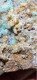 Delcampe - Rosasite Rosasite Gesso Dolomite Azzurrite  Calcite Cristalli Su Matrice 210 Gr Marocco 9 Cm - Minéraux