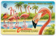 British Virgin Islands - Flamingoes - 20CBVC - Vierges (îles)