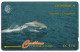 Dominica - Spinner Dolphin - 9CDMD (with Ø) - Dominica