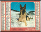 Almanach  Calendrier  P.T.T  -  La Poste -  1979 - Chien D'avalanches - - Troupeau De Moutons - Groot Formaat: 1971-80