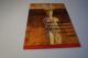 UNO Genf Jahresmappe 2004 Postfrisch (27075H) - Colecciones & Series