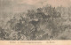 BELGIQUE - Waterloo - Dernière Charge Des Cuirassiers - Le Ravin - Carte Postale Ancienne - Waterloo