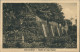 Ansichtskarte Bad Doberan Ruine Im Englischen Garten 1922 - Bad Doberan