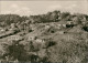 Göhren (Rügen) Stadtteilansicht Hang Mit Bungalows Bungalow-Siedlung 1978 - Goehren