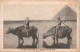 EGYPTE - Cairo - Pyramids And Buffalos On The Nile - Carte Postale Ancienne - Pyramids