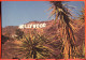 USA - View Of Hollywoog Sign - California - Los Angeles