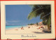 Antilles - Barbades - Beautiful Dover Beach - St. Lawrence Gap - Barbades