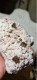 Delcampe - Quarzo Fume' Granati Grossularia Rossi 300gr Provenienza Tongbei Zhangzhou Cina 13cm - Minéraux