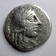 ROMA - Fam. FANNIA - 137/134 AC. - Republic (280 BC To 27 BC)
