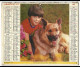 Almanach  Calendrier  P.T.T  -  La Poste -  1977 -  Enfant , Chien , Oiseaux - Formato Grande : 1971-80