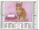 Almanach  Calendrier  P.T.T  -  La Poste -  1972 -  Oiseau , Fleur -chat - Grossformat : 1971-80