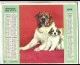 Almanach  Calendrier  P.T.T  -  La Poste -  1970 - Chats - Chiens - Big : 1961-70