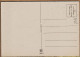 12506 ● BARRE-DAYEZ B-D Série Heraldique 1296-D Armoiries TUNIS Blason Ville  O.P.L 30.0037 Dépot 1947-2 N°511 - Barday
