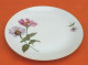 Suite De 6 Assiettes  Porcelaine Fine De Bohème - Chodovia (CZE)