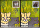 Brazil Maximum Postcard Brazilian Fauna Animals Ocelot And Gato Mourisco 2012 Postcard CBC MS - Maximum Cards