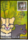 Brazil Maximum Postcard Brazilian Fauna Animals Ocelot And Gato Mourisco 2012 Postcard CBC MS - Tarjetas – Máxima