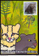 Brazil Maximum Postcard Brazilian Fauna Animals Ocelot And Gato Mourisco 2012 Postcard CBC MS - Maximum Cards