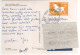 Timbre , Stamp " EUROPA : Zoodiaque , Taureau " Sur CP , Carte , Postcard Du 10/08/95 - Briefe U. Dokumente