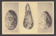 087788/ BRUXELLES, Musées Des Beaux-Arts, *Silex Moustériens, Pointe Et Amandes*, Période Paléolithique - Museen