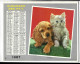 Almanach  Calendrier  P.T.T  -  La Poste -  1967 -  Chat - Chien - Alliance Education - Big : 1961-70