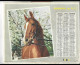 Almanach  Calendrier  P.T.T  -  La Poste -  1963 -  Chat- Cheval - Grossformat : 1961-70