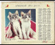 Almanach  Calendrier  P.T.T  -  La Poste -  1962 -  Chats - Chiens - Nous Sommes La - Big : 1961-70