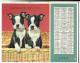 Almanach  Calendrier  P.T.T  -  La Poste -  1960 - Chiens  - Chat - Formato Grande : 1961-70