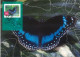 AUSTRALIA  : 2004, POSTAGE PRE PAID POSTCARD OF NATURE OF AUSTRALIA  RAINFOREST BUTTERFLIES WITH FD OF ISSUE STAMP. - Lettres & Documents