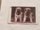 SINGAPORE-(76SIGB-0)-Puppies 2-(279)(76SIGB-040332)($20)(1/1/1996)-used Card+1card Prepiad Free - Singapour