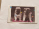 SINGAPORE-(76SIGB-0)-Puppies 2-(279)(76SIGB-040332)($20)(1/1/1996)-used Card+1card Prepiad Free - Singapore