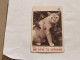 SINGAPORE-(76SIGD-0)-Pretty Cat-(282)(76SIGD-203385)($10)(1/1/1996)-used Card+1card Prepiad Free - Singapur