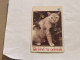 SINGAPORE-(76SIGD-0)-Pretty Cat-(282)(76SIGD-203385)($10)(1/1/1996)-used Card+1card Prepiad Free - Singapour