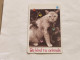 SINGAPORE-(76SIGD-0)-Pretty Cat-(283)(76SIGD-452124)($10)(1/1/1996)-used Card+1card Prepiad Free - Singapore